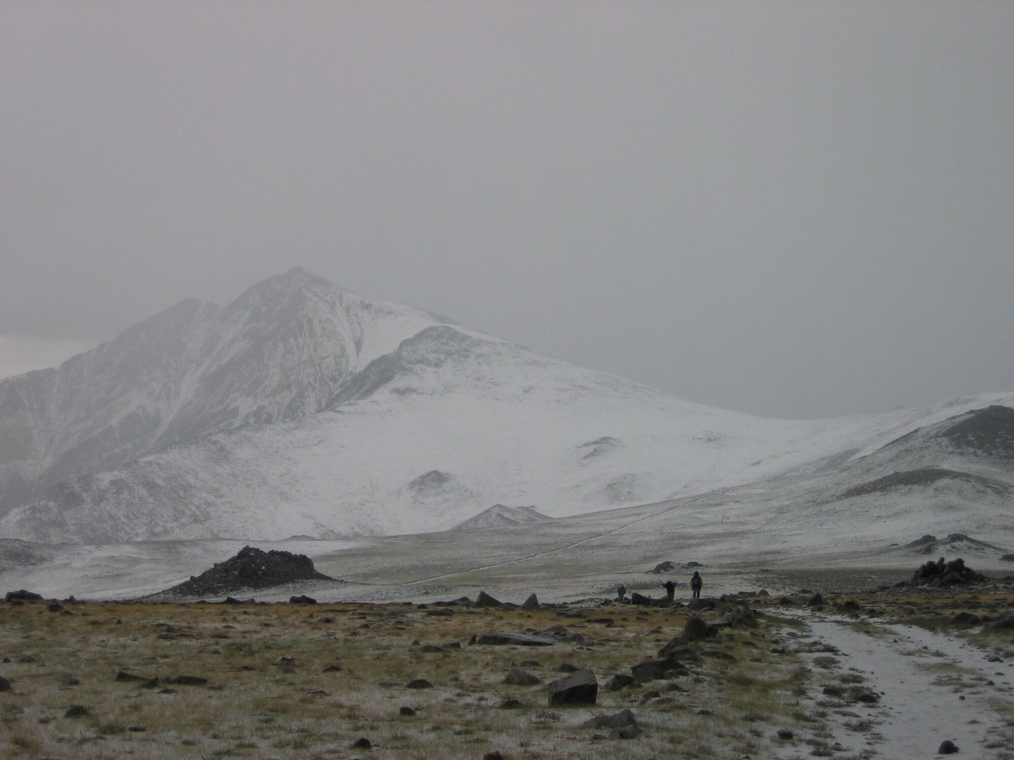 White hail covered.jpg