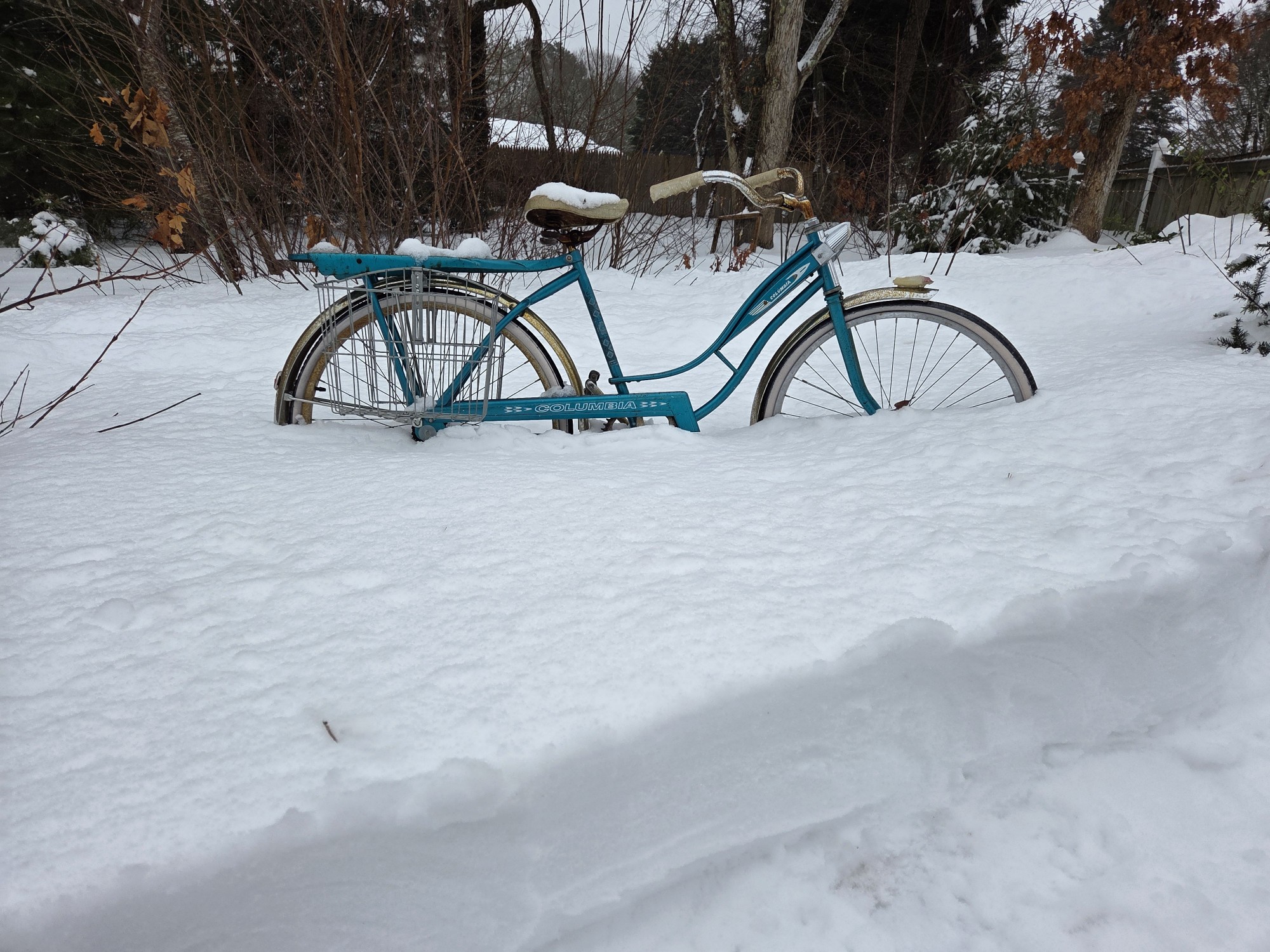 winter 2026 (Custom).jpg