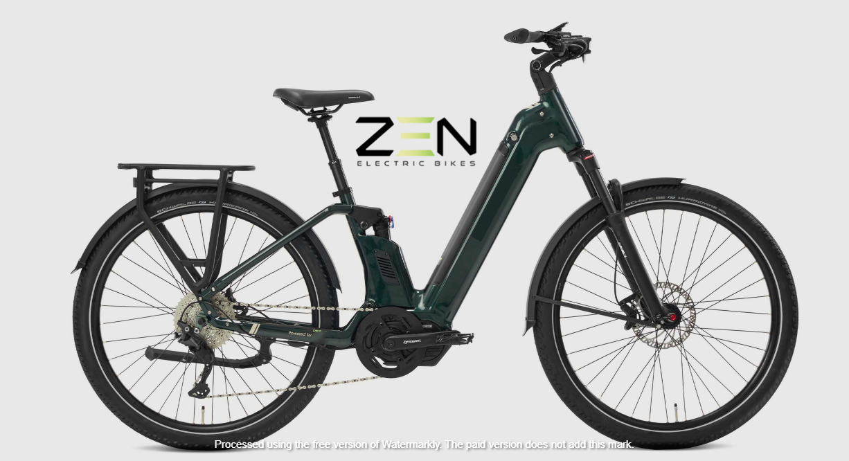 Zen Saral FS pro_watermark1.png