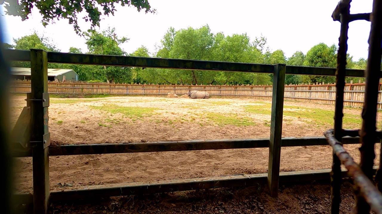 zoo12.jpg