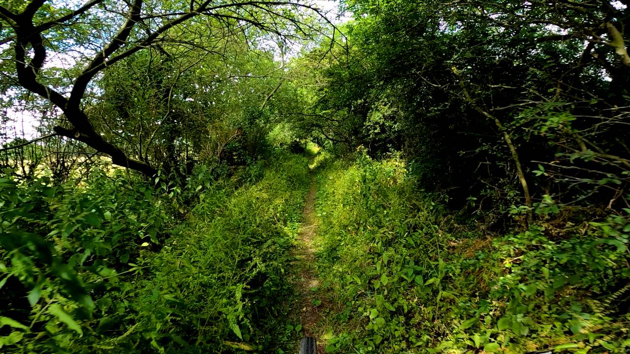 zoo2.jpg