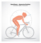 3-road-bike-race-body-position.jpg