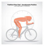 4-road-bike-triathlon-body-position.jpg