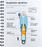 rear shock.jpg