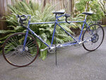 aftermarket-kickstand-for-tandem-bicycle.jpg