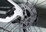 bmw-ebike-disc-brake.png