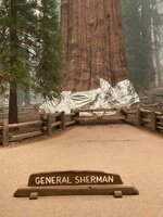 _120603618_generalsherman.jpg