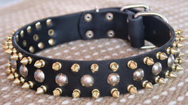 custom-spiked-studded-shchutzhund-collar-leather-gold-collar-100Nm.jpg