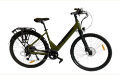 pine nut ebike 1.JPG