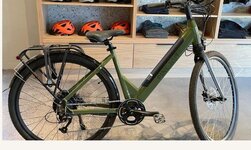 pine nut ebike1b.JPG