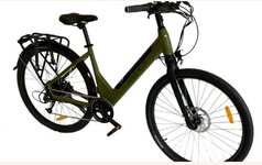 pine nut ebike 1c.JPG