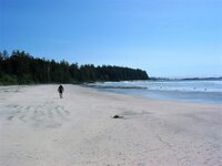 Solitary Beach at Rugged Point.JPG