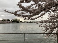 Jefferson Memorial.JPG