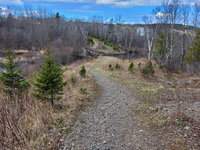 blueberry-hill-trail.jpg