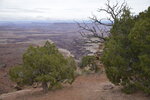 Grand View Point.jpg