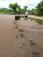 footprint friends..jpg