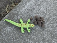 IMG_0797.jpeg