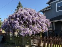 IMG_0792.jpeg