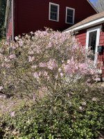 IMG_1725 (1).jpeg