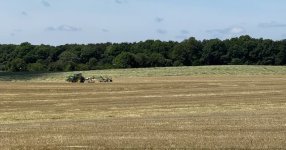 IMG_0254.jpeg