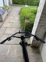 IMG_7198.jpeg