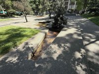 IMG_0869.jpeg