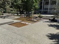 IMG_0871.jpeg