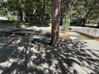 IMG_0873.jpeg