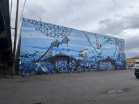 IMG_0894.jpeg