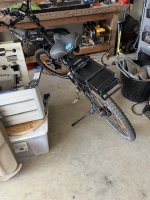 IMG_3550.jpeg