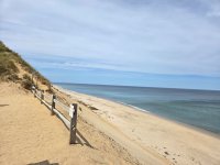 beachcomber9-s.jpg