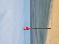 beachcomber11-s.jpg
