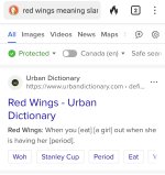 Screenshot_20250530_180737_DuckDuckGo.jpg