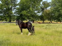 IMG_2322.jpeg