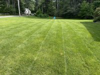 IMG_1779 (1).jpeg