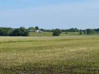 IMG_2325.jpeg