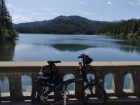 IMG_20250602_120338604.jpg