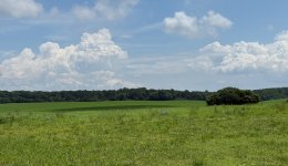 IMG_0274.jpeg
