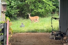 IMG_0276.jpeg