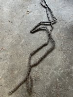 IMG_1804 (1).jpeg