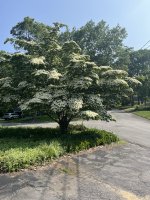IMG_1806 (2).jpeg