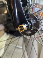 IMG_1305.jpeg