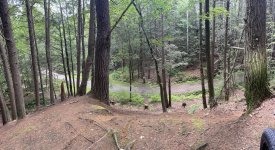 IMG_1821.jpeg