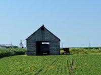 IMG_2336.jpeg