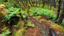 glen7.jpg