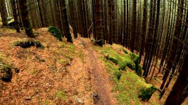 glen8.jpg