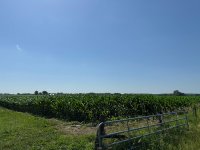 IMG_2339.jpeg