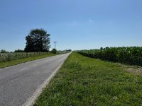 IMG_2338.jpeg