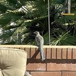 IMG_1970.jpg