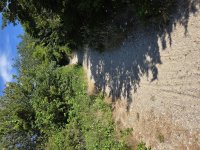skaket trail2 (Custom).jpg